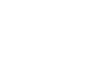 Evolution games at Wild Pharao Casino